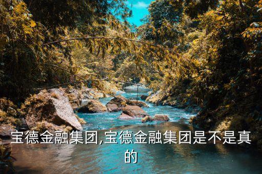 香港寶德金融集團,寶德金融集團是不是真的