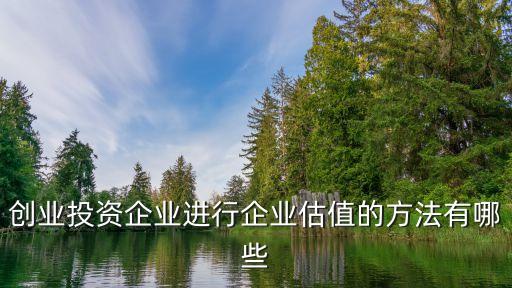 創(chuàng)業(yè)投資企業(yè)進(jìn)行企業(yè)估值的方法有哪些