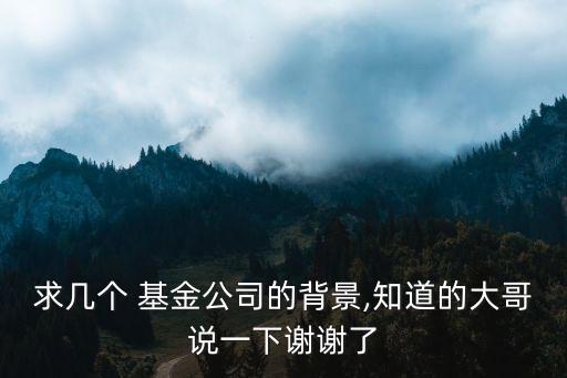 求幾個(gè) 基金公司的背景,知道的大哥說(shuō)一下謝謝了