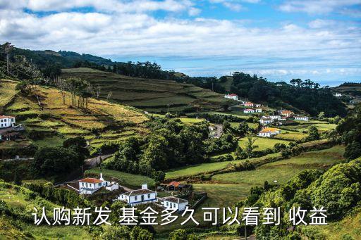 認(rèn)購新發(fā) 基金多久可以看到 收益