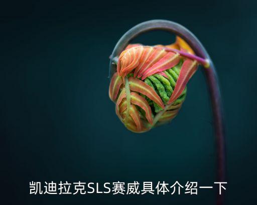 上海柯塞威基金