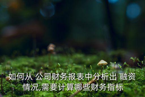 如何從 公司財務報表中分析出 融資 情況,需要計算哪些財務指標
