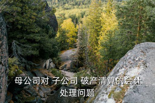  母公司對 子公司 破產清算的會計處理問題