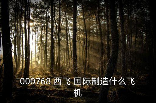 000768 西飛 國際制造什么飛機