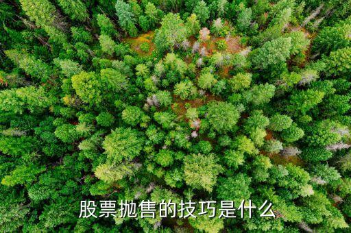 賣出股票的方法,漲?？梢再u出股票嗎