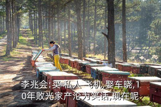 中國富豪的私人飛機