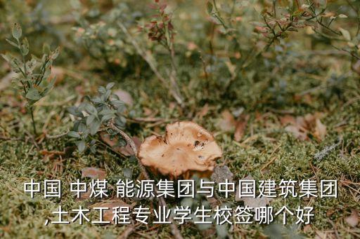 中國 中煤 能源集團(tuán)與中國建筑集團(tuán),土木工程專業(yè)學(xué)生校簽?zāi)膫€好