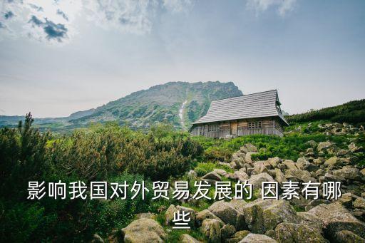  影響我國(guó)對(duì)外貿(mào)易發(fā)展的 因素有哪些