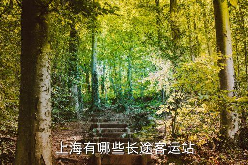  上海有哪些長(zhǎng)途客運(yùn)站