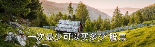 一次最少可以買(mǎi)多少 股票