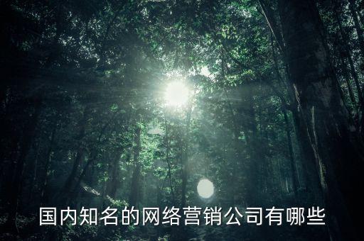 國(guó)內(nèi)知名的網(wǎng)絡(luò)營(yíng)銷公司有哪些