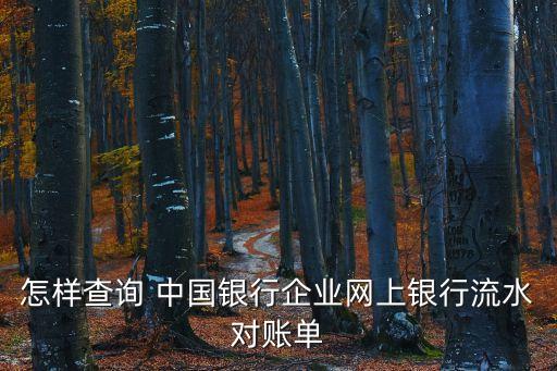 怎樣查詢(xún) 中國(guó)銀行企業(yè)網(wǎng)上銀行流水對(duì)賬單