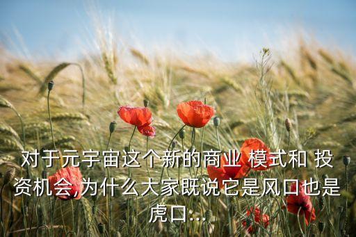對(duì)于元宇宙這個(gè)新的商業(yè) 模式和 投資機(jī)會(huì),為什么大家既說(shuō)它是風(fēng)口也是虎口...