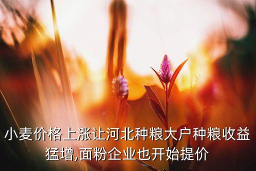 小麥價(jià)格上漲讓河北種糧大戶種糧收益猛增,面粉企業(yè)也開(kāi)始提價(jià)