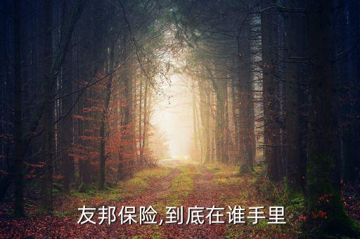  友邦保險(xiǎn),到底在誰手里
