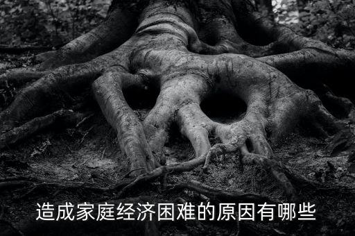 造成家庭經(jīng)濟(jì)困難的原因有哪些