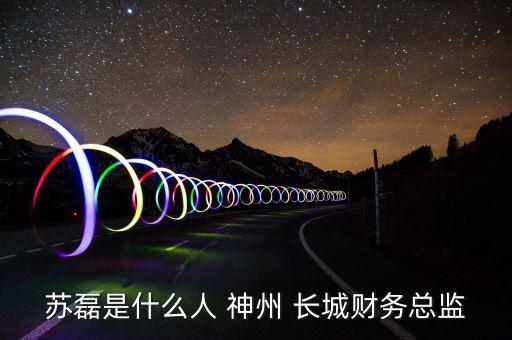 蘇磊是什么人 神州 長城財務總監(jiān)