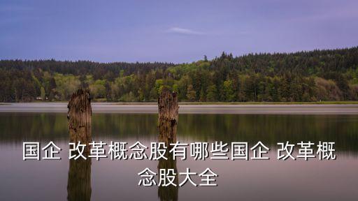 百聯(lián)集團國資改革