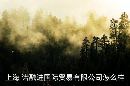 上海 諾融進國際貿(mào)易有限公司怎么樣