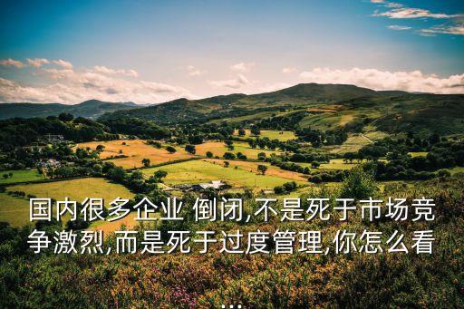 國內很多企業(yè) 倒閉,不是死于市場競爭激烈,而是死于過度管理,你怎么看...