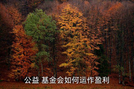 公益 基金會如何運作盈利