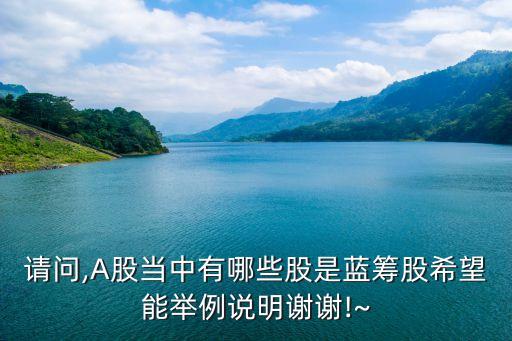 請問,A股當中有哪些股是藍籌股希望能舉例說明謝謝!~