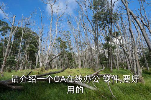 請(qǐng)介紹一個(gè)OA在線辦公 軟件,要好用的