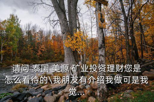 請(qǐng)問 泰國 美源 礦業(yè)投資理財(cái)您是怎么看待的\我朋友有介紹我做可是我覺...