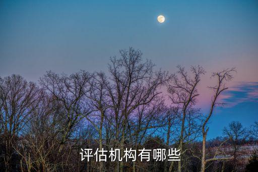  評(píng)估機(jī)構(gòu)有哪些