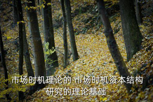  市場時(shí)機(jī)理論的 市場時(shí)機(jī)資本結(jié)構(gòu)研究的理論基礎(chǔ)