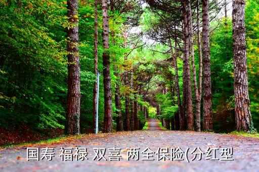 國(guó)壽 福祿 雙喜 兩全保險(xiǎn)(分紅型