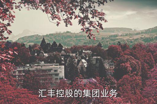 匯豐控股的集團(tuán)業(yè)務(wù)
