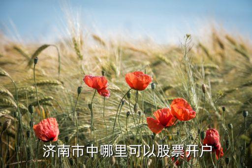  濟(jì)南市中哪里可以股票開戶