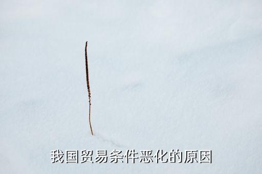 我國(guó)貿(mào)易條件惡化的原因