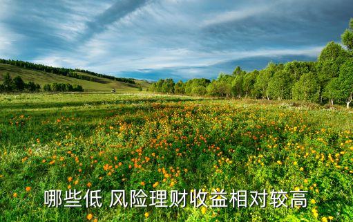 哪些低 風險理財收益相對較高