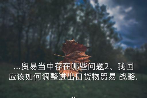 ...貿(mào)易當(dāng)中存在哪些問題2、我國應(yīng)該如何調(diào)整進(jìn)出口貨物貿(mào)易 戰(zhàn)略...