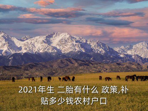 2021年生 二胎有什么 政策,補(bǔ)貼多少錢(qián)農(nóng)村戶(hù)口