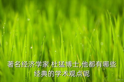 著名經(jīng)濟學(xué)家 杜猛博士,他都有哪些經(jīng)典的學(xué)術(shù)觀點呢