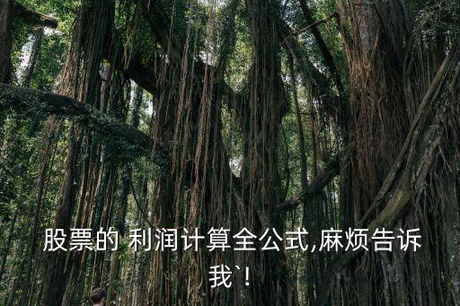  股票的 利潤計算全公式,麻煩告訴我`!