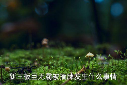 新三板巨無霸被摘牌發(fā)生什么事情