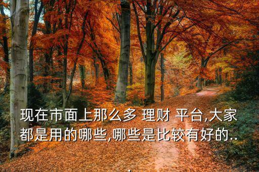 現(xiàn)在市面上那么多 理財 平臺,大家都是用的哪些,哪些是比較有好的...