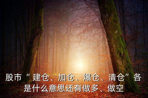 股市“ 建倉、加倉、爆倉、清倉”各是什么意思還有做多、做空