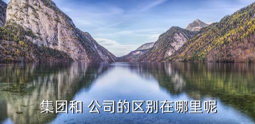 公司價值與企業(yè)集團的關系