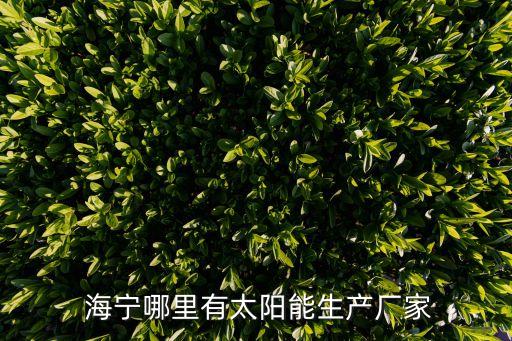 中石油海寧分公司,海寧中石油加油站
