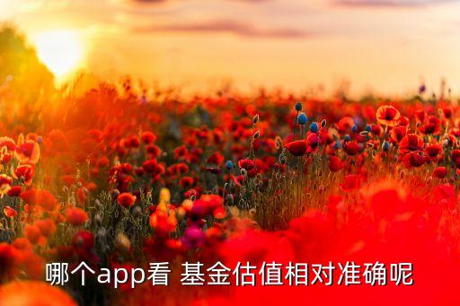 基金收益查看軟件,基金如何查看實(shí)時收益
