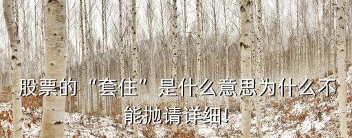  股票的“套住”是什么意思為什么不能拋請詳細!