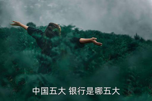 中國(guó)五大 銀行是哪五大