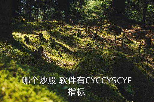 哪個(gè)炒股 軟件有CYCCYSCYF指標(biāo)