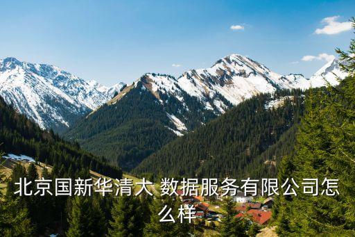 北京國新華清大 數據服務有限公司怎么樣