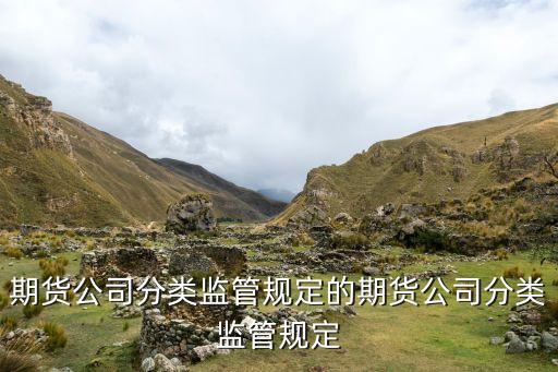 期貨公司分類監(jiān)管規(guī)定的期貨公司分類監(jiān)管規(guī)定